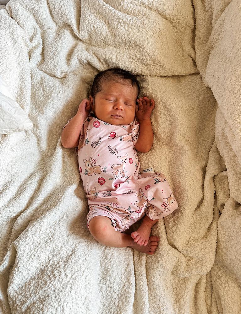 Deer Haven Short Romper