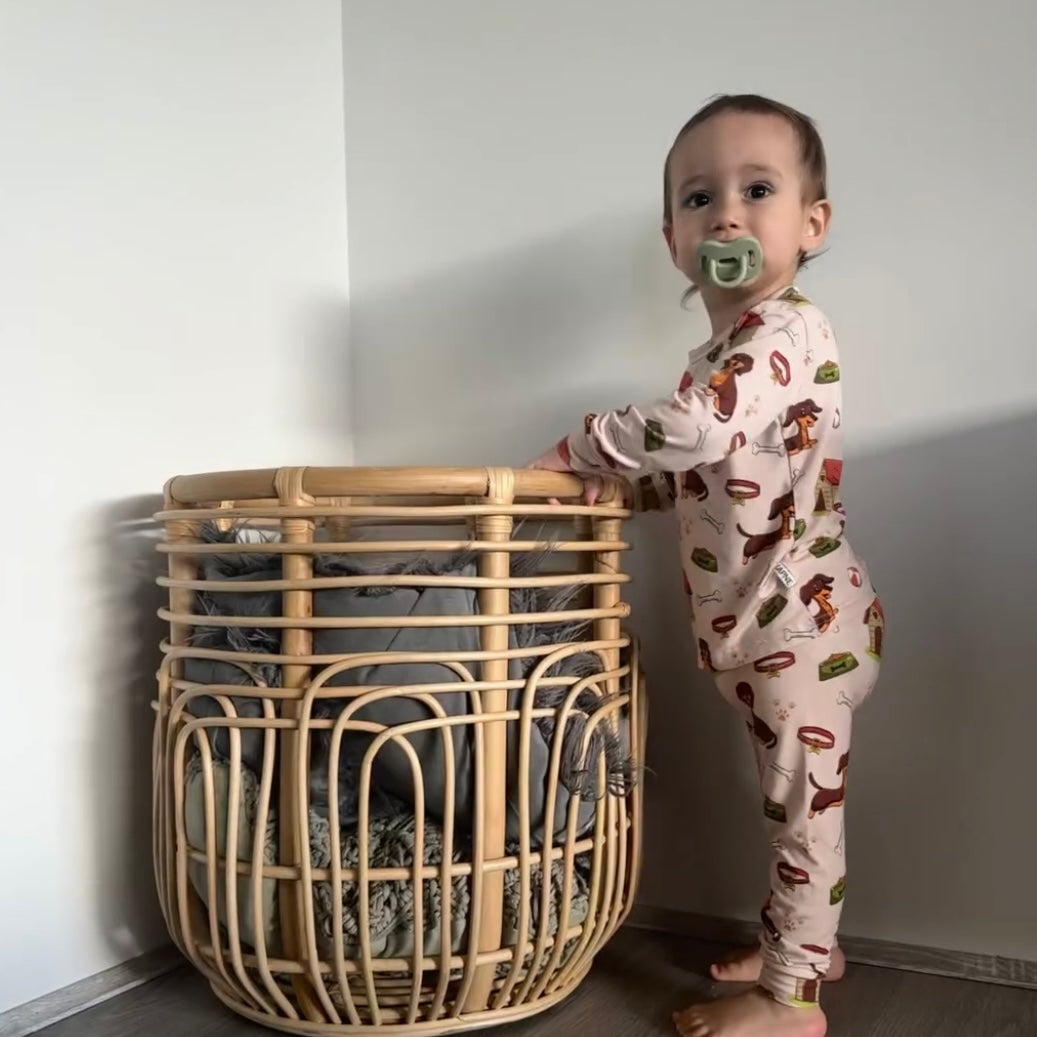 Dachshunds Long PJ Set